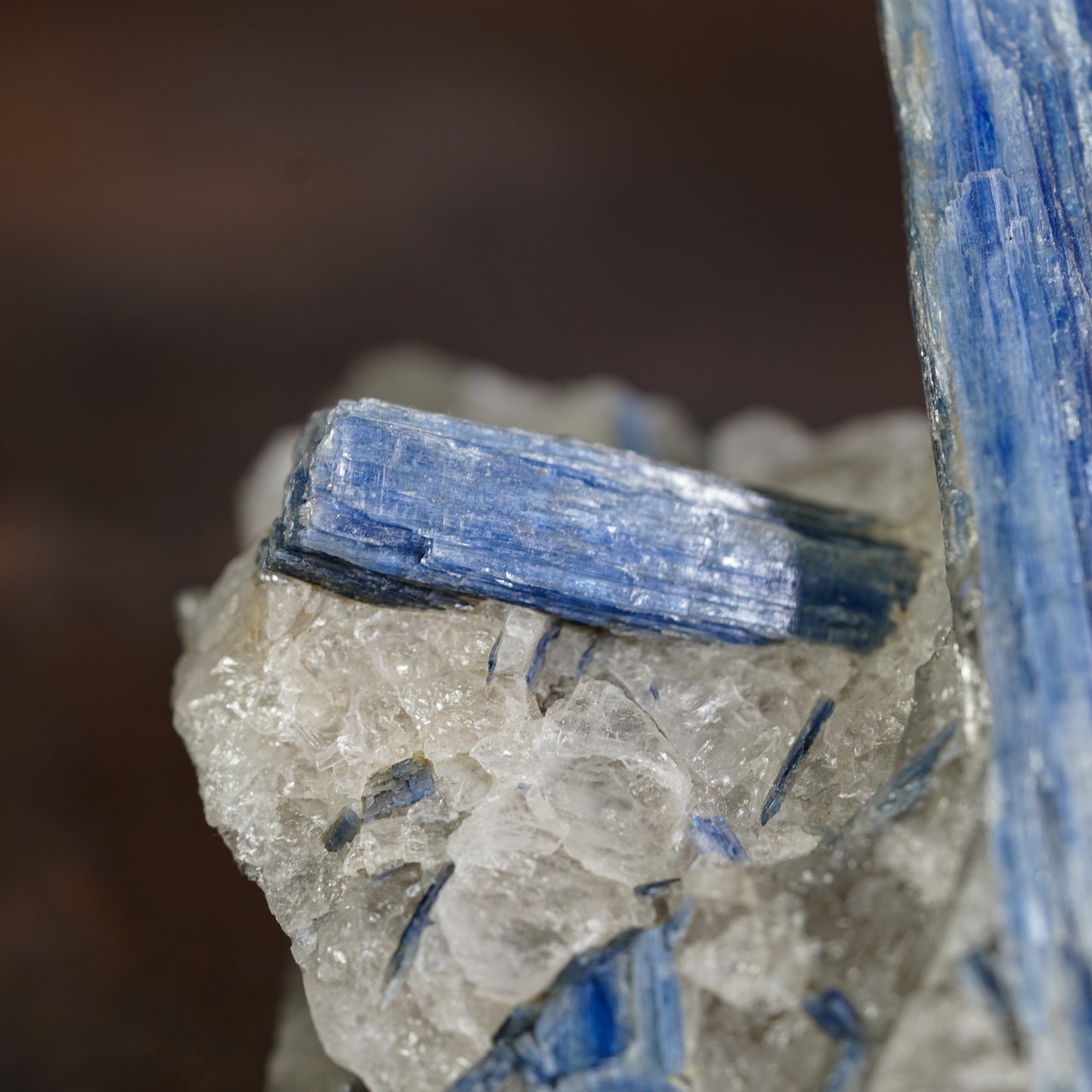 Blue Kyanite Crystal Cluster