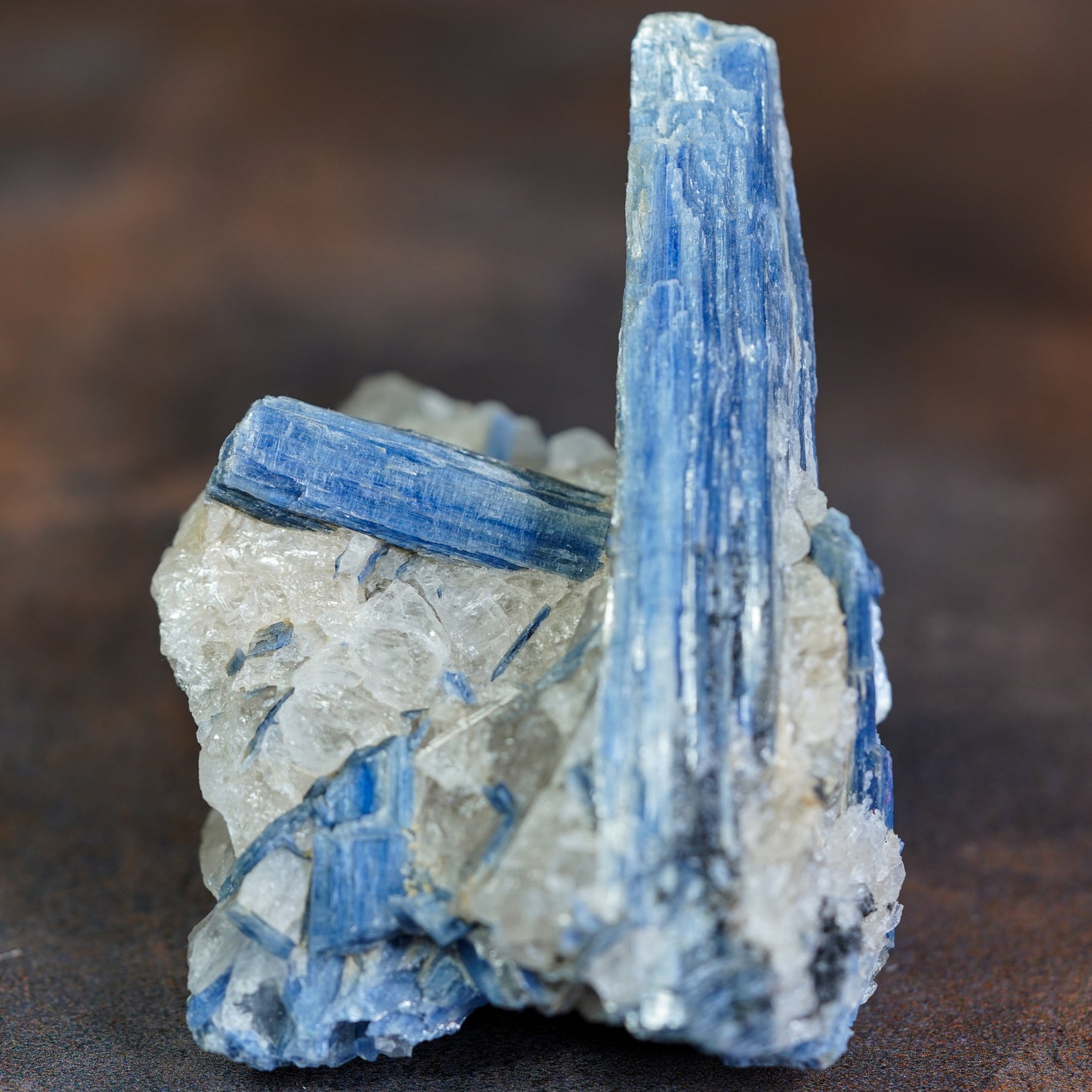 Blue Kyanite Crystal Cluster