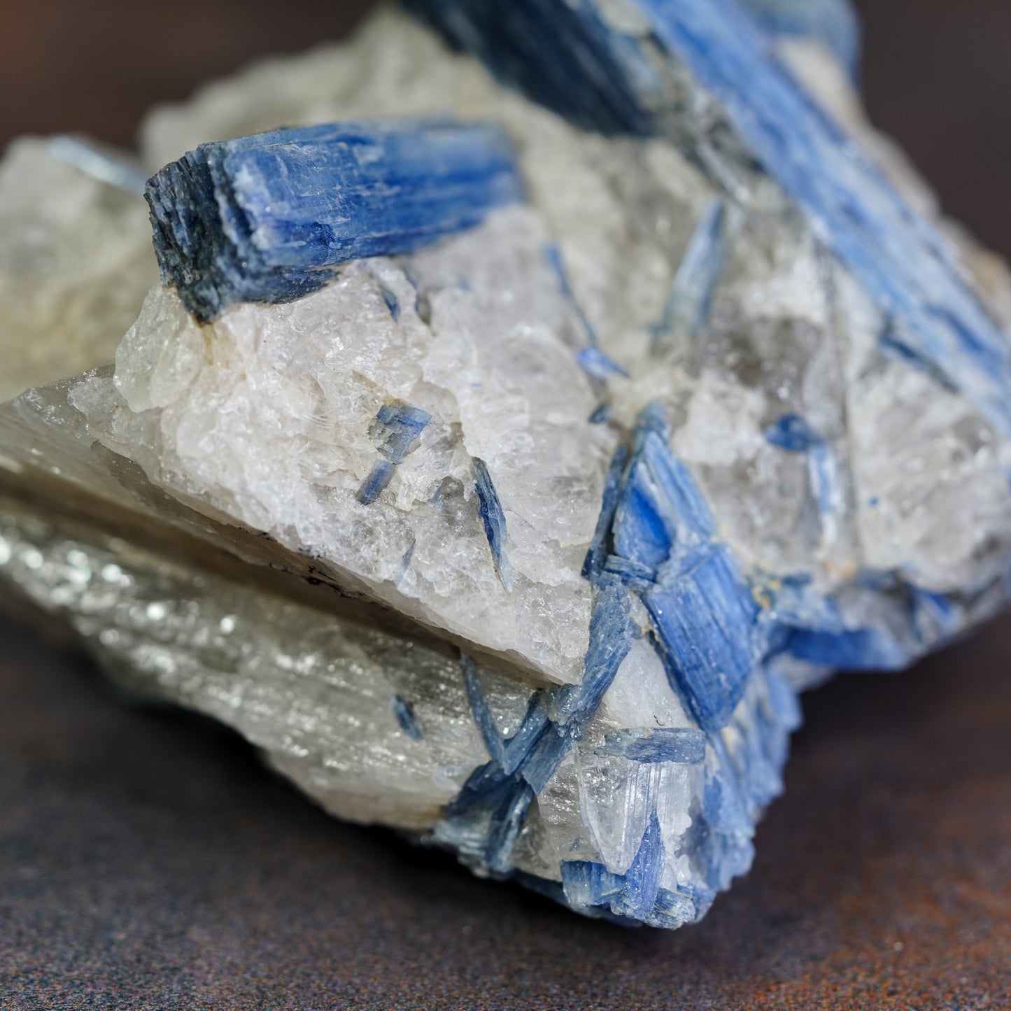 Blue Kyanite Crystal Cluster