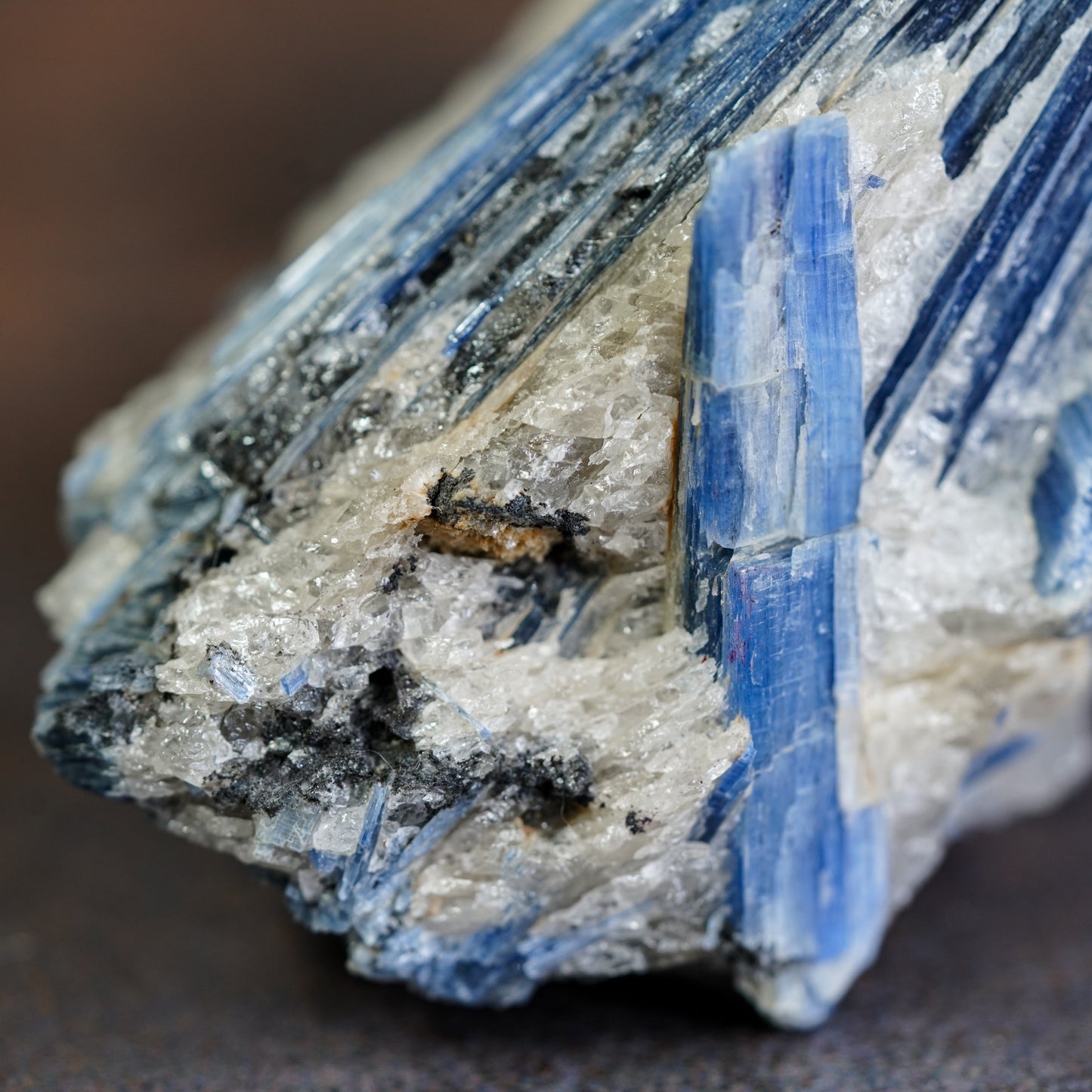 Blue Kyanite Crystal Cluster
