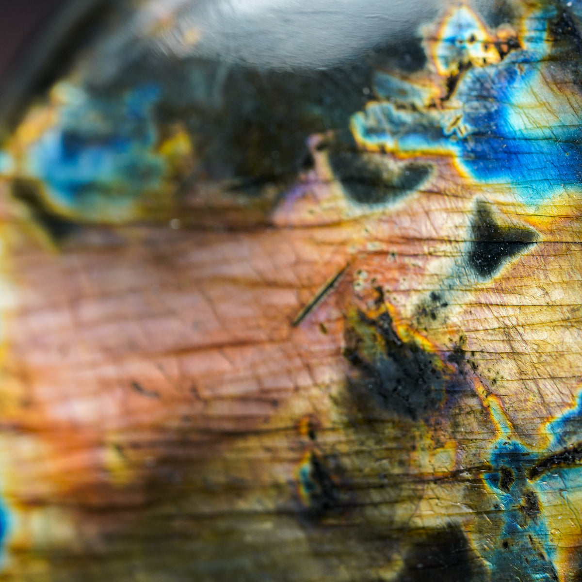 Madagascan Full Color Spectrum Labradorite Freeform with Purple Flash