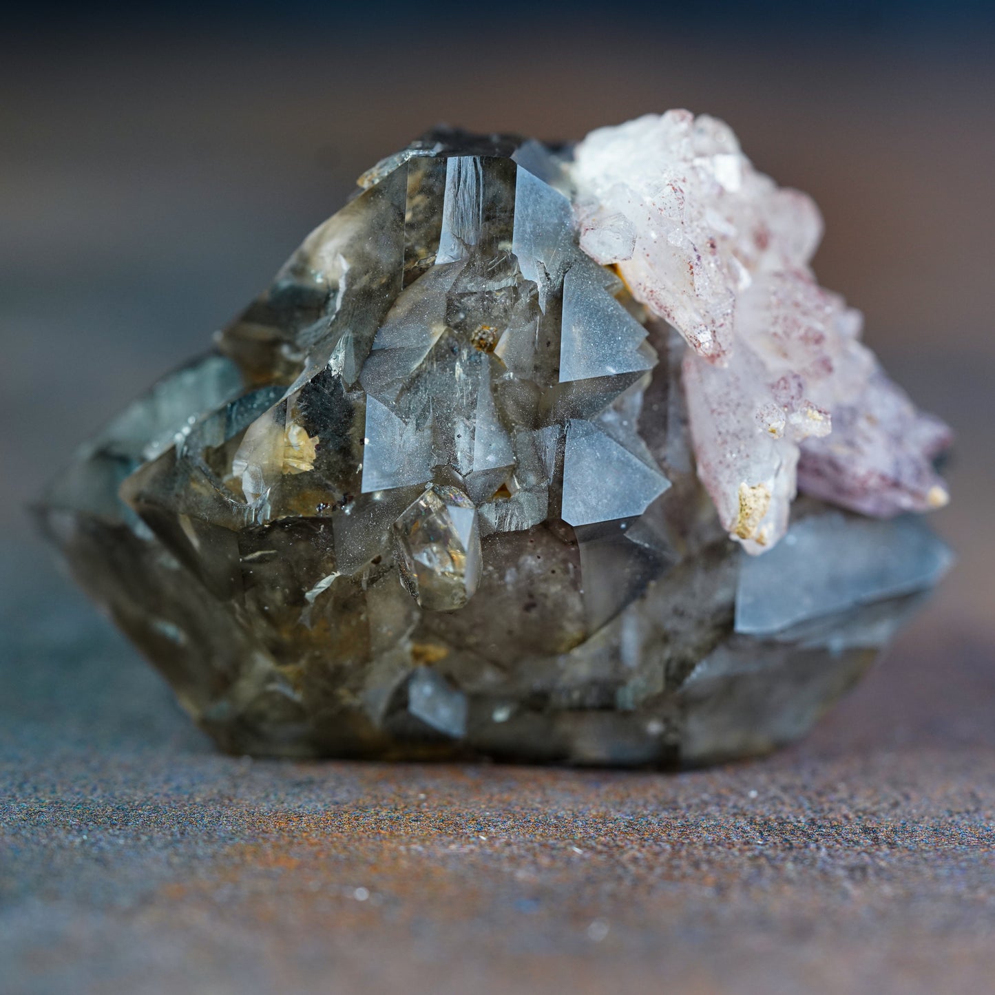 Double Terminated Brandberg Elestial Smokey Quartz with Red Hematite Included Amethyst Flower Cluster