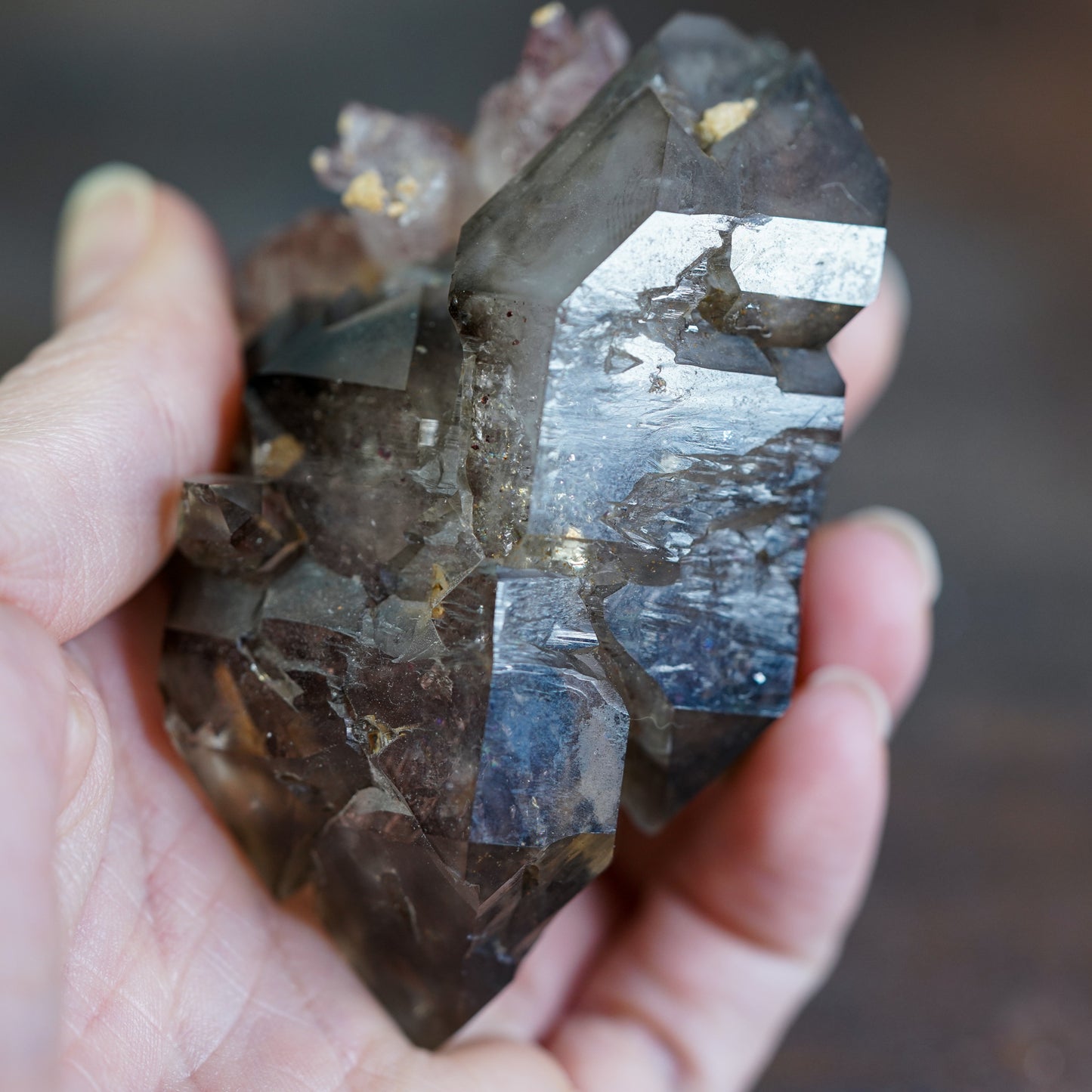 Double Terminated Brandberg Elestial Smokey Quartz with Red Hematite Included Amethyst Flower Cluster