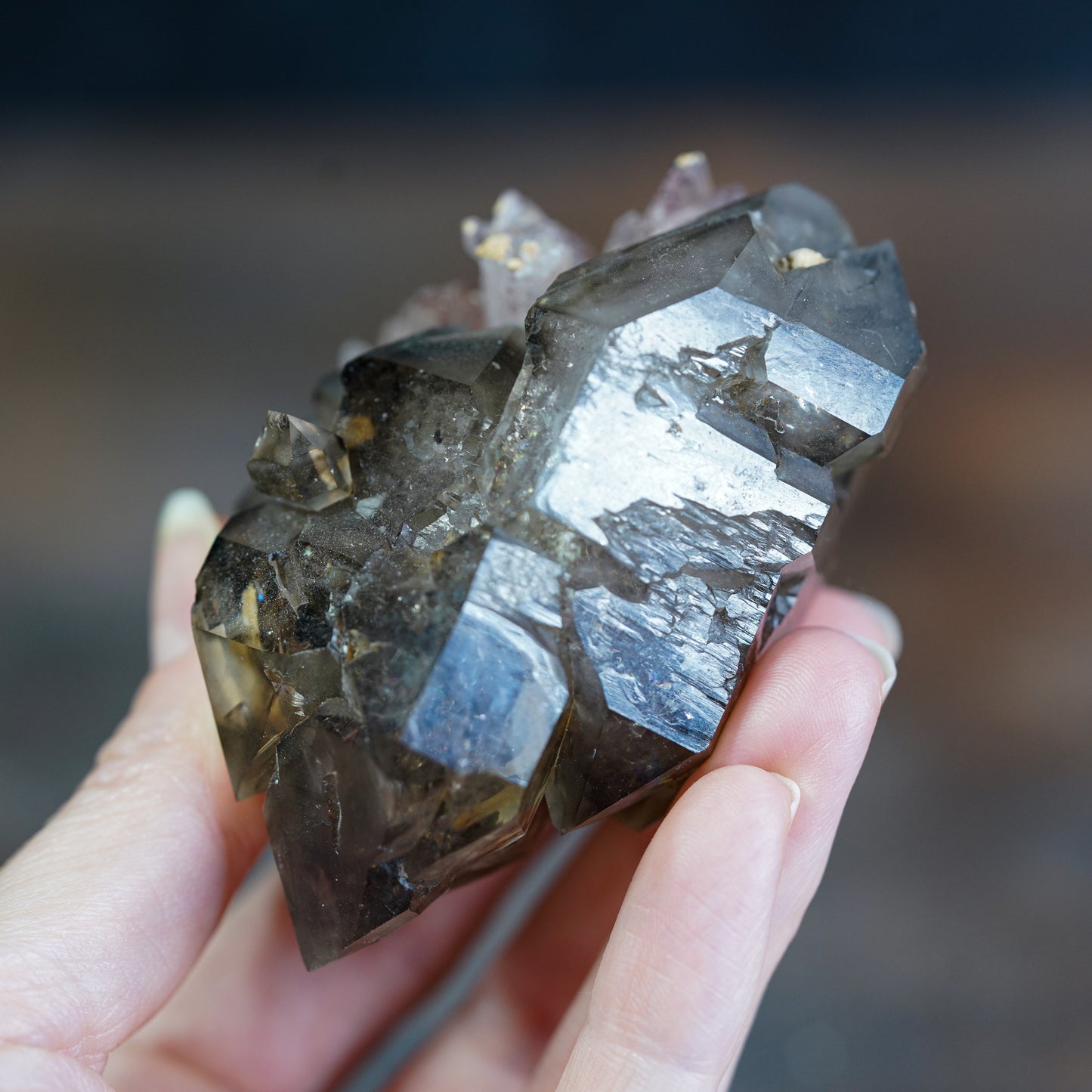 Double Terminated Brandberg Elestial Smokey Quartz with Red Hematite Included Amethyst Flower Cluster