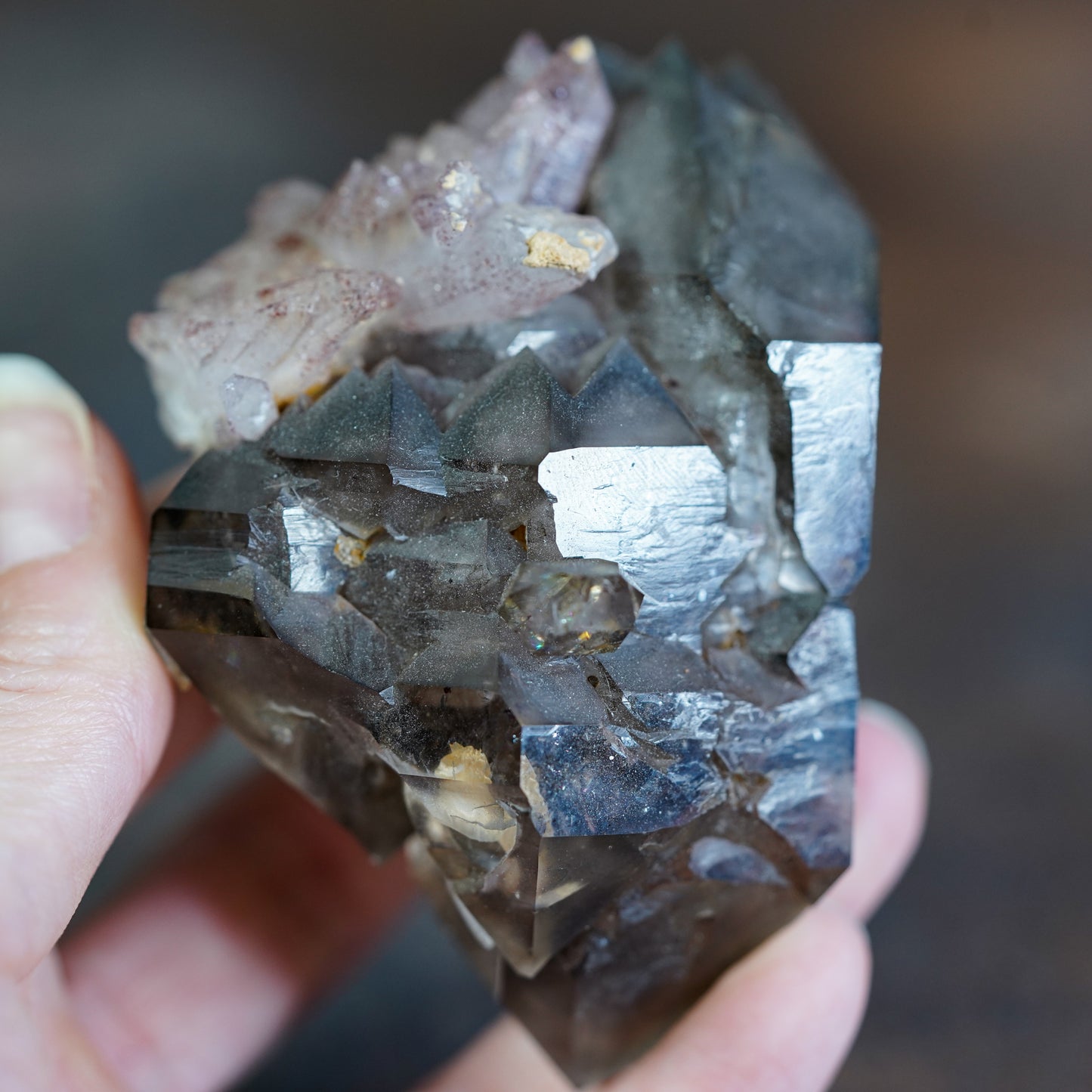 Double Terminated Brandberg Elestial Smokey Quartz with Red Hematite Included Amethyst Flower Cluster