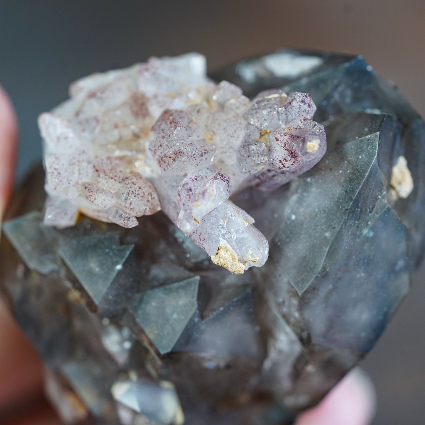 Double Terminated Brandberg Elestial Smokey Quartz with Red Hematite Included Amethyst Flower Cluster
