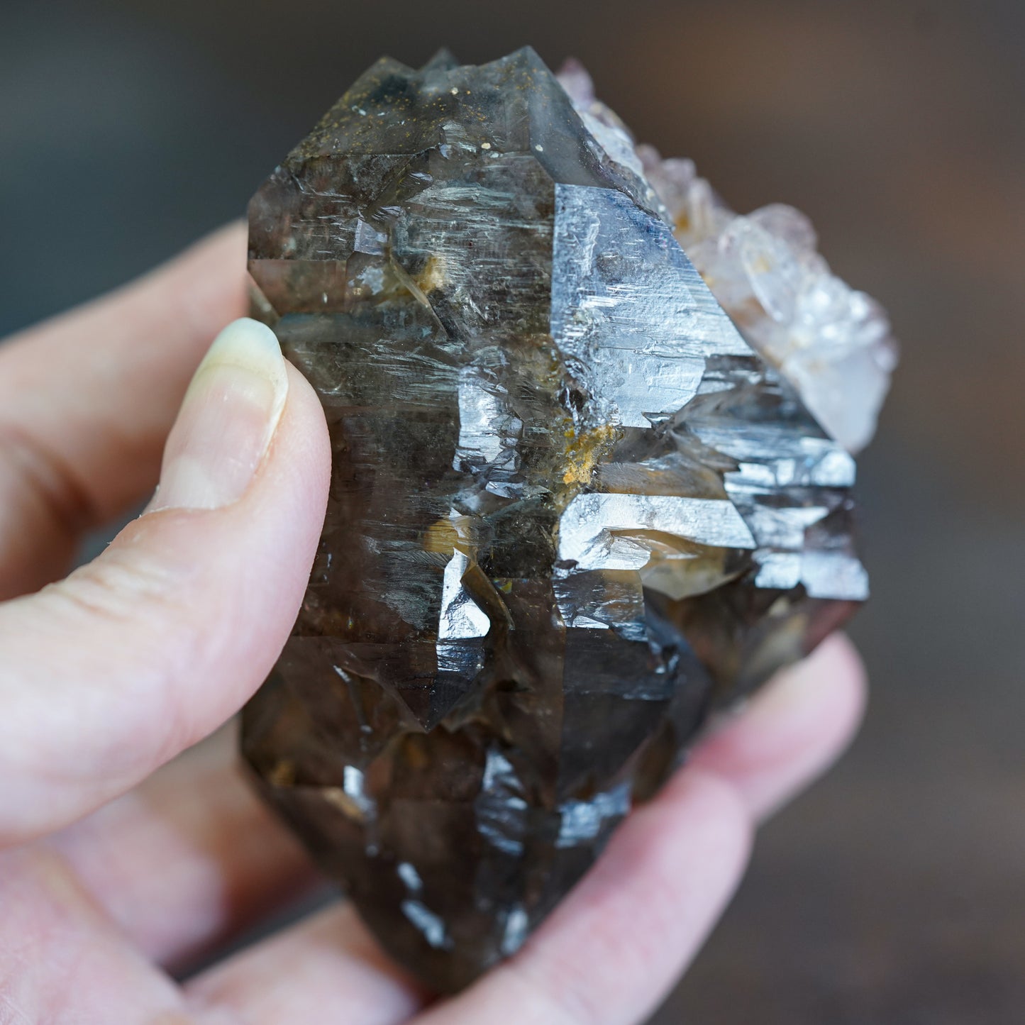 Double Terminated Brandberg Elestial Smokey Quartz with Red Hematite Included Amethyst Flower Cluster