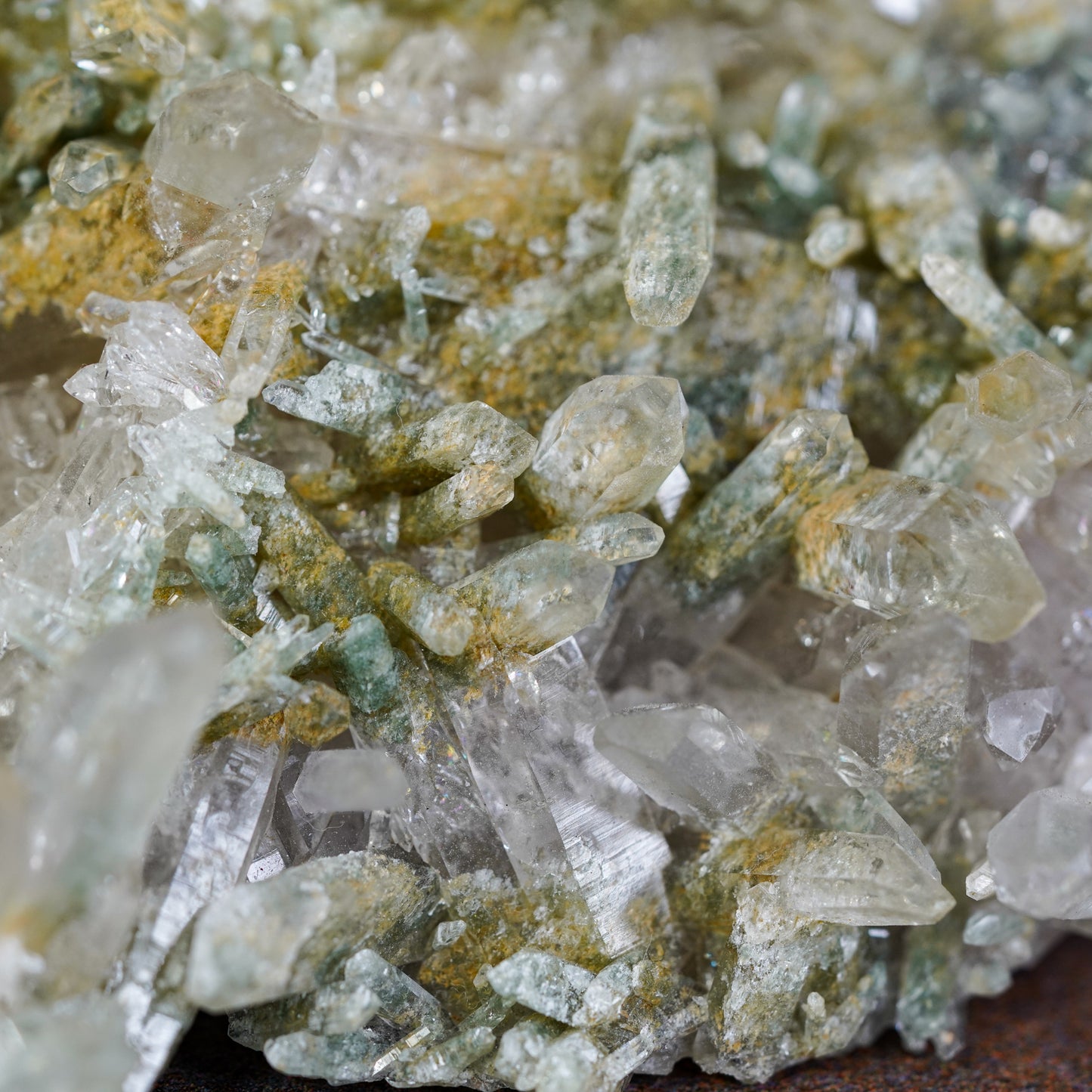 Luminous Himalayan Quartz Cluster - A Shimmering Tapestry of Crystals