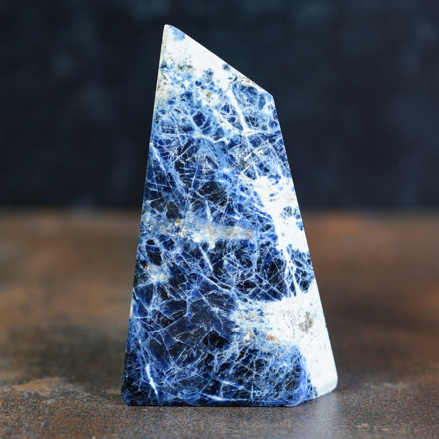 Midnight Melody Sodalite Freeform Blade