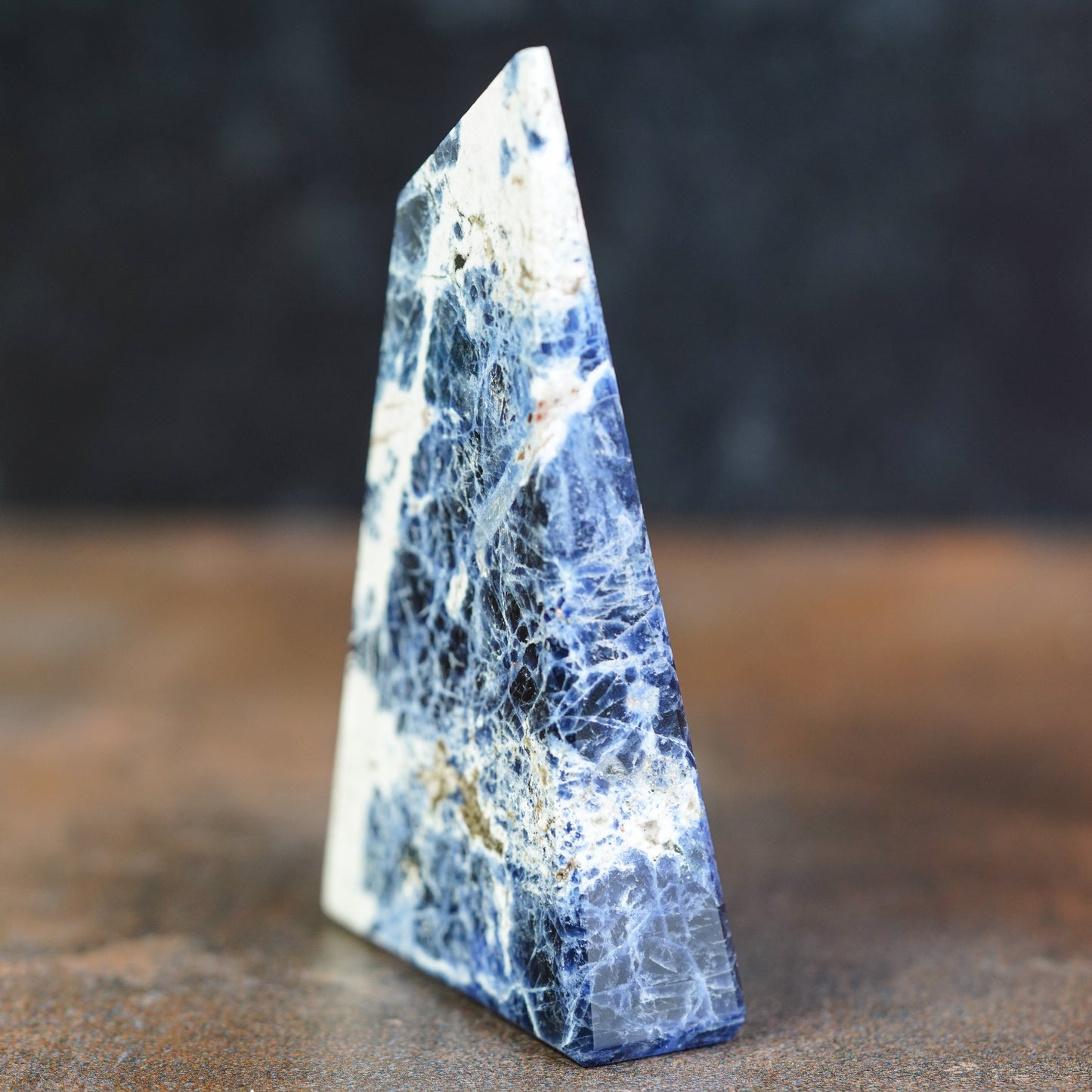 Midnight Melody Sodalite Freeform Blade