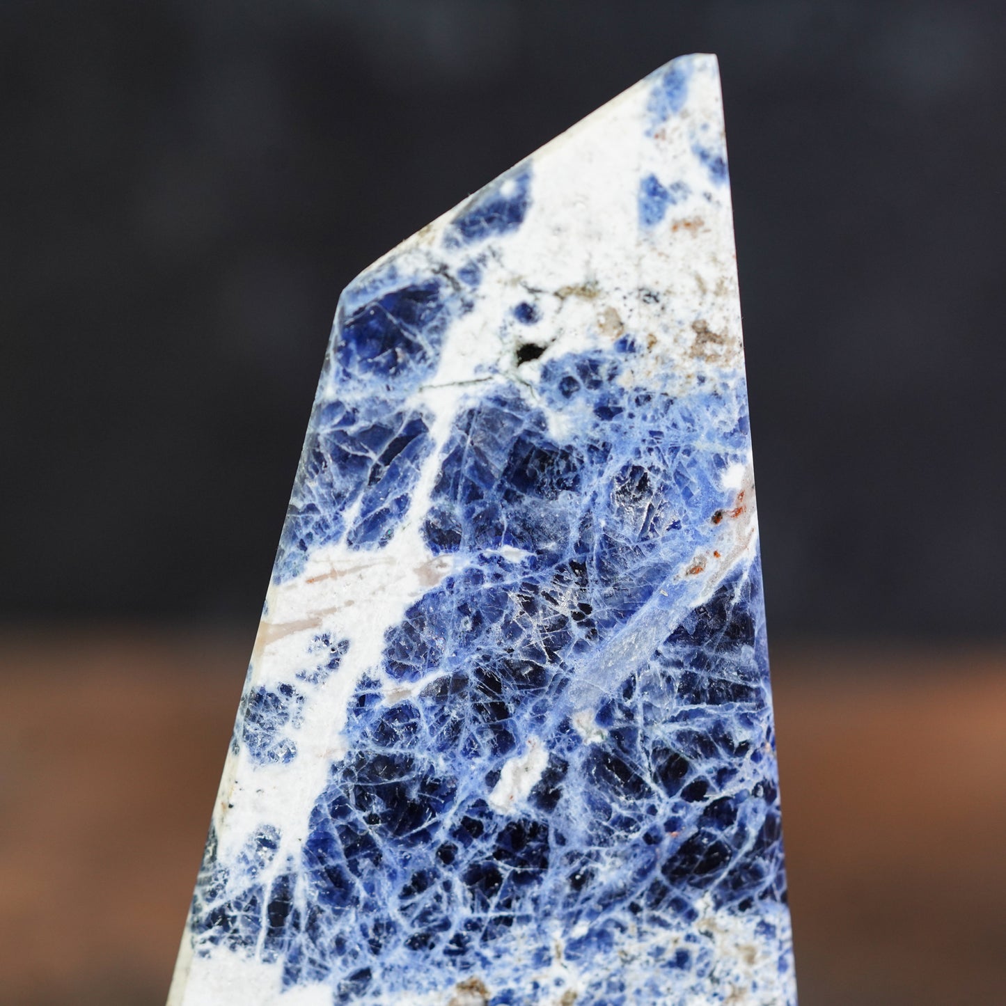 Midnight Melody Sodalite Freeform Blade