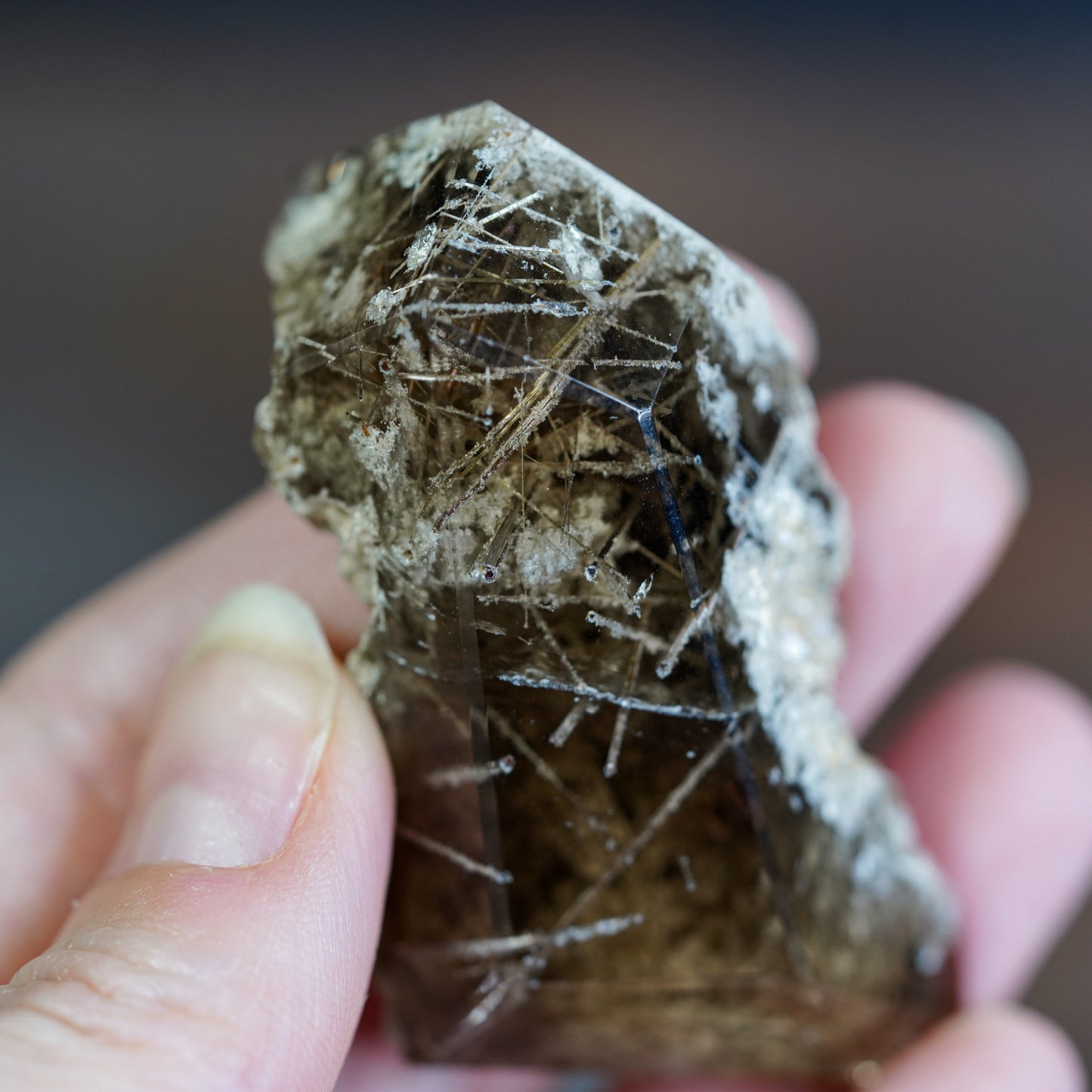 Smokey Rutilated Garden Quartz Crystal