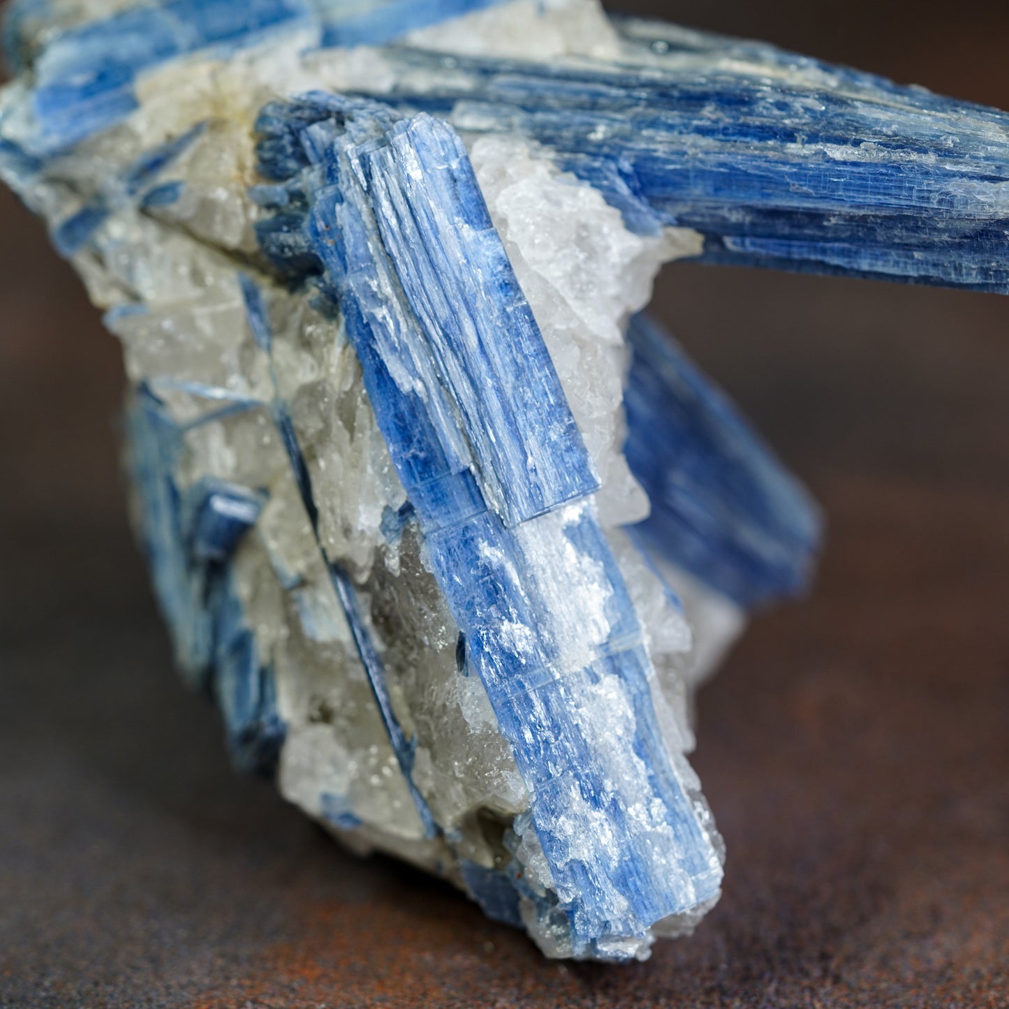 Blue Kyanite Crystal Cluster