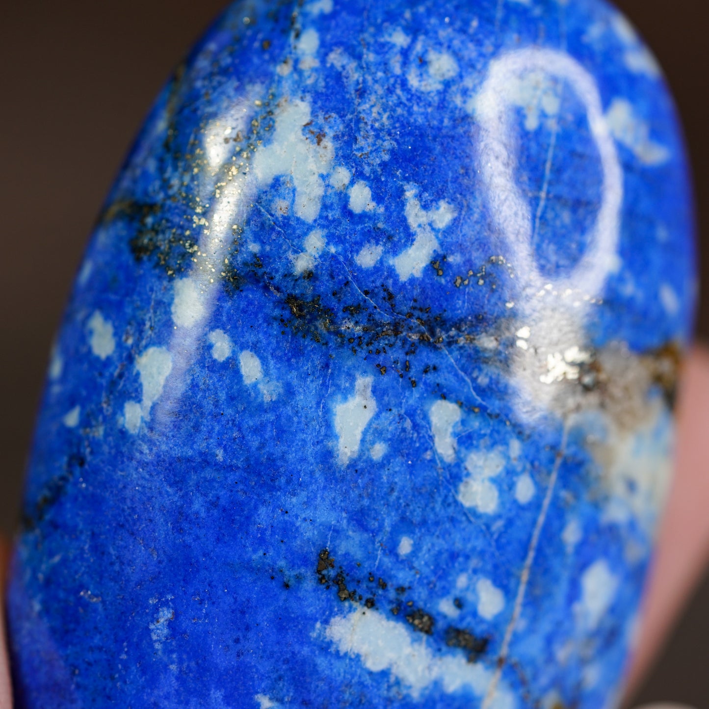 Sovereign Lapis Lazuli Palmstone Large