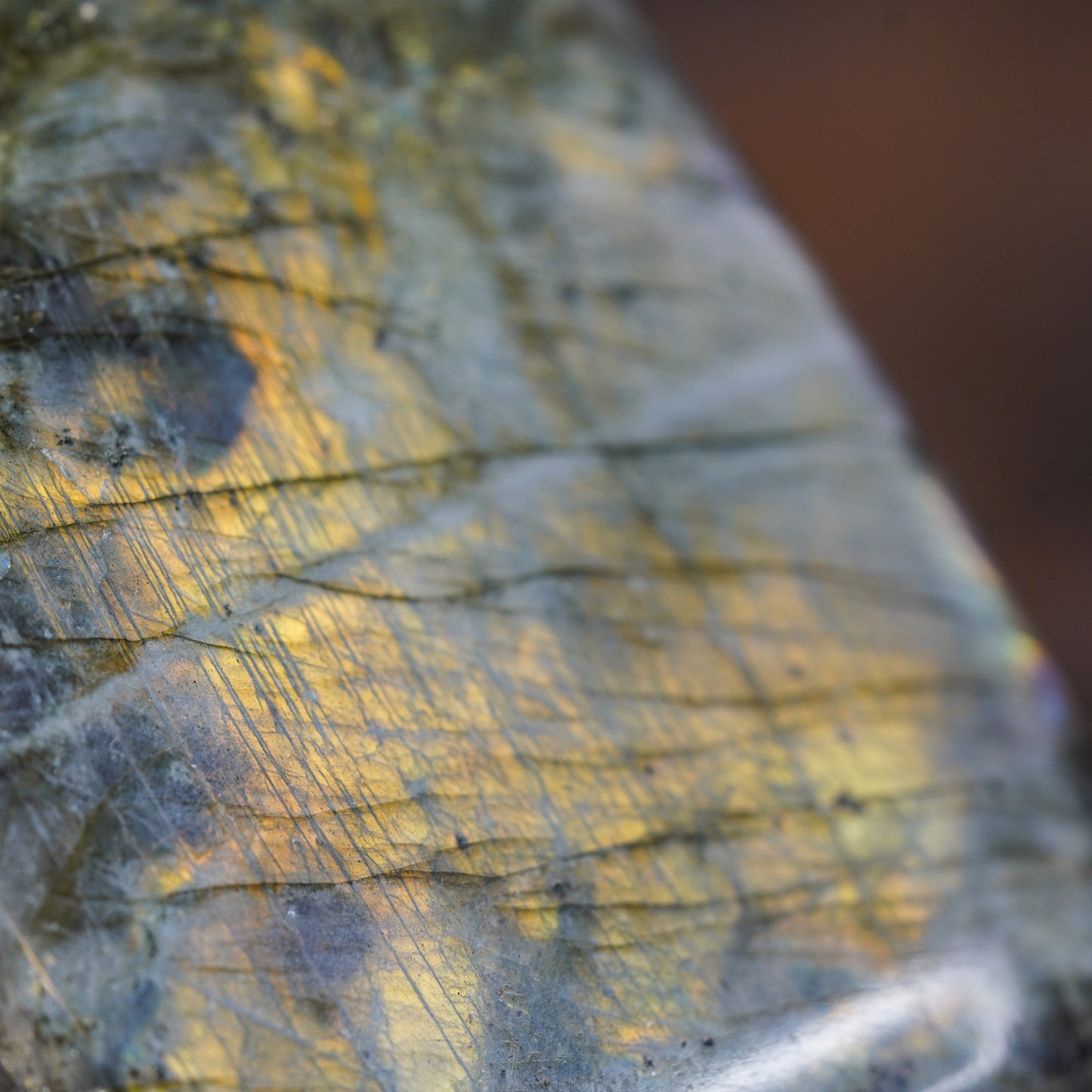 Mystic Veil Grey Labradorite Freeform