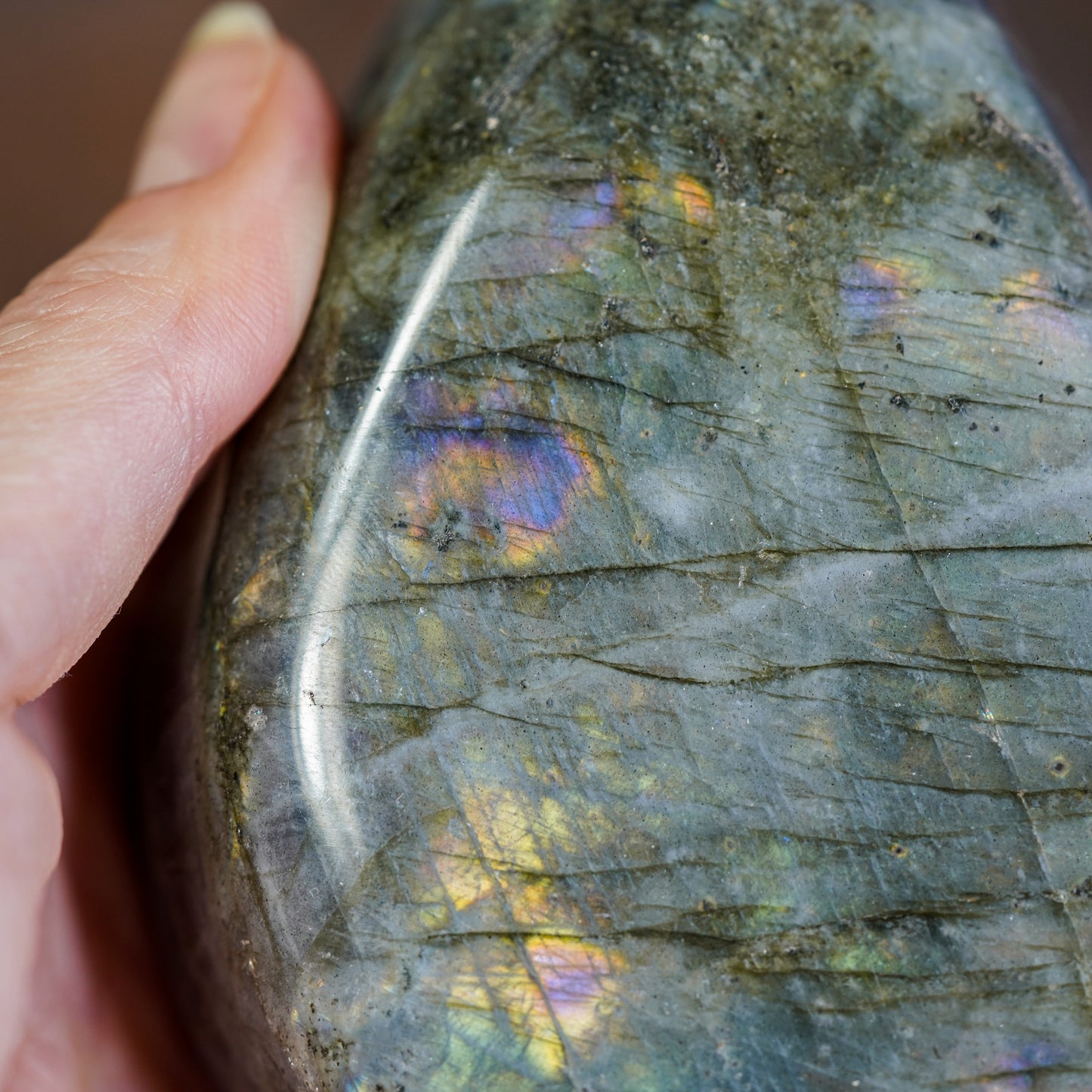 Mystic Veil Grey Labradorite Freeform