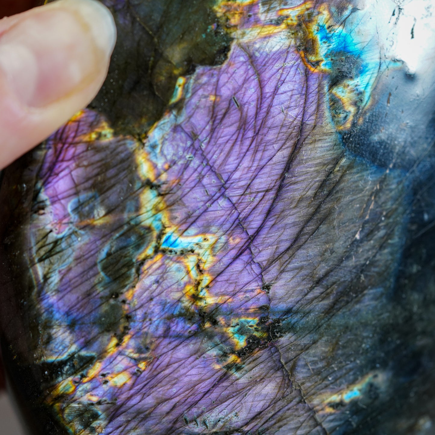 Purple Labradorite Freeform