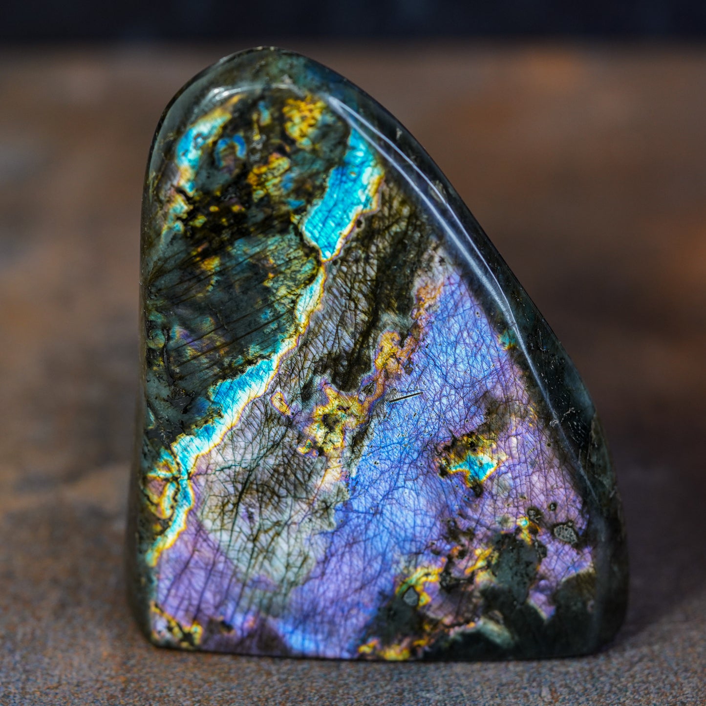 High Quality Purple Labradorite Freeform