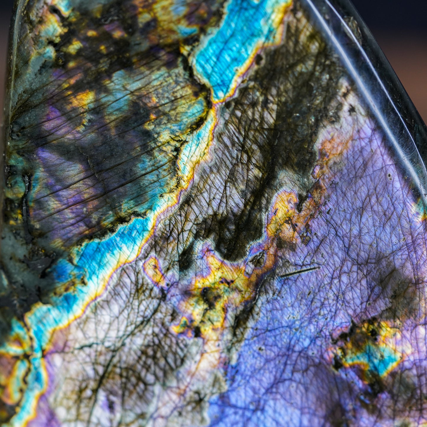 High Quality Purple Labradorite Freeform