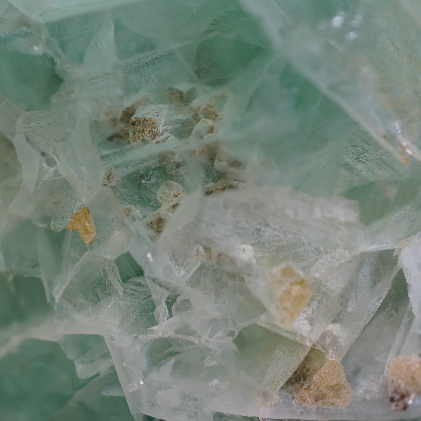 High Clarity Green Fluorite Freeform from Mexico