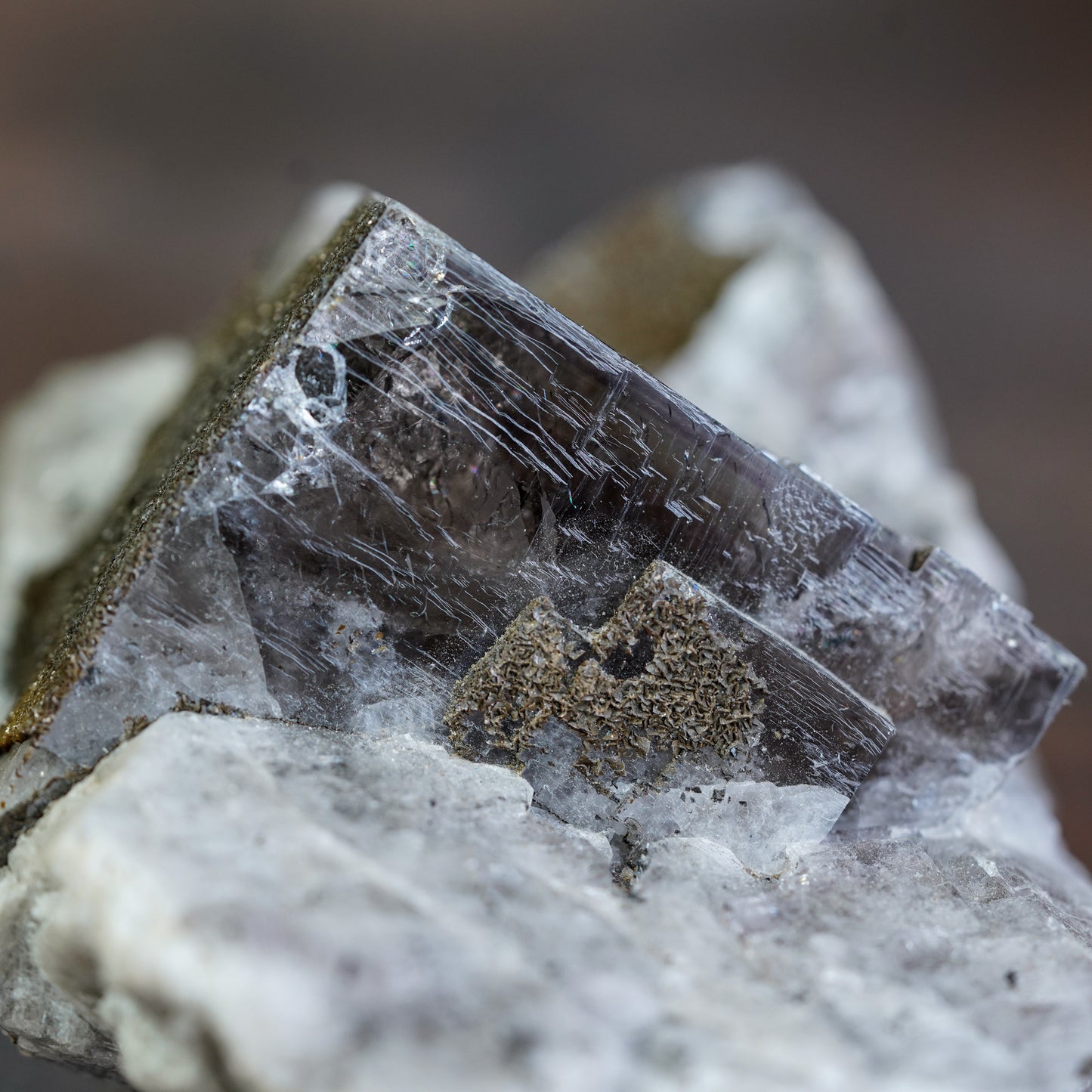 Grey Black Fluorite Crystal Cluster from Purple Rain Pocket at Lady Annabella Mine