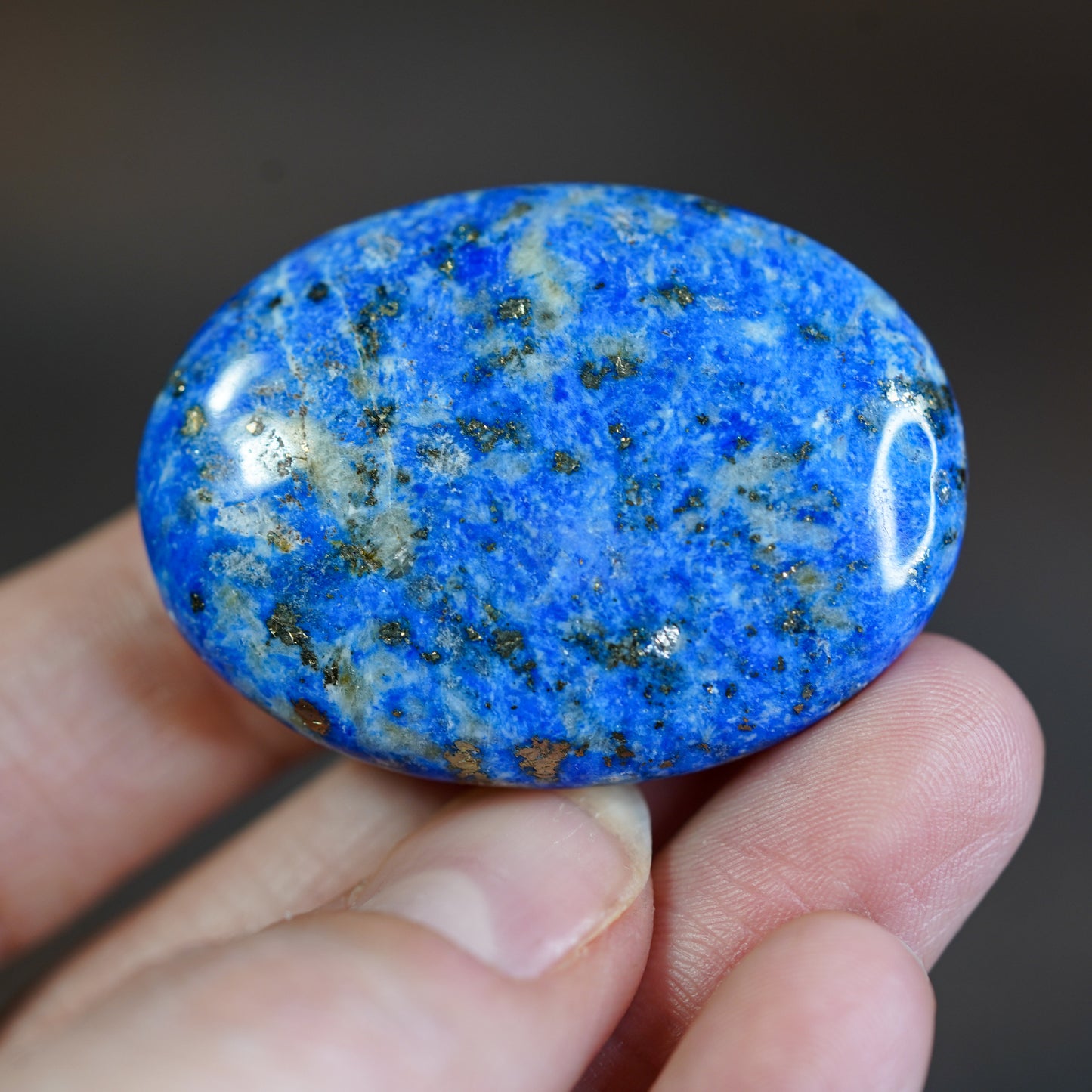 Lapis Lazuli Palmstone with Pyrite