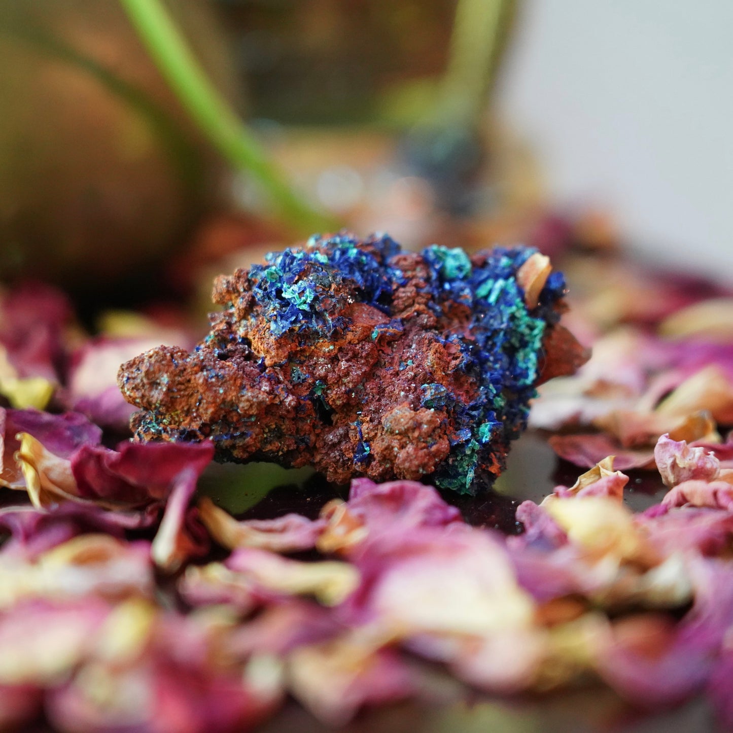 Azurite & Malachite & Red Limonite Quartz of Divine Intervention