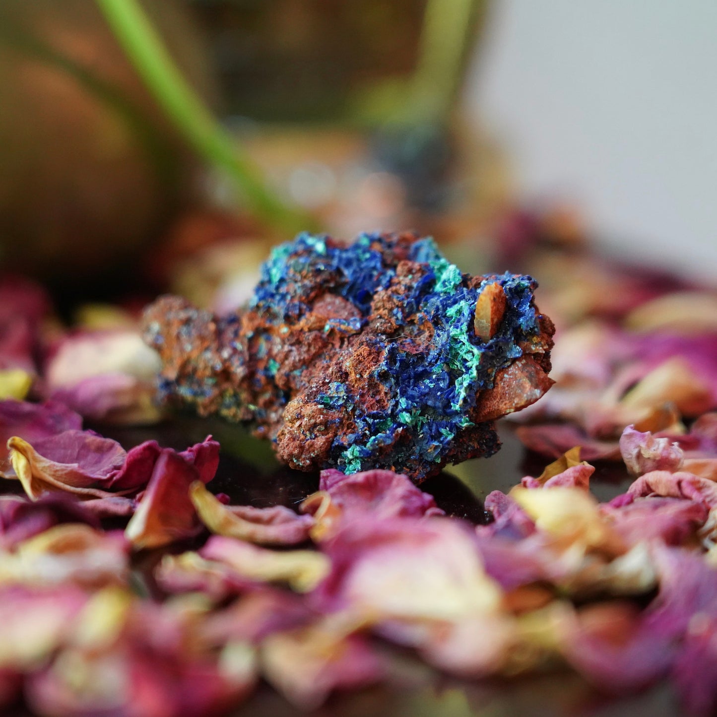 Azurite & Malachite & Red Limonite Quartz of Divine Intervention
