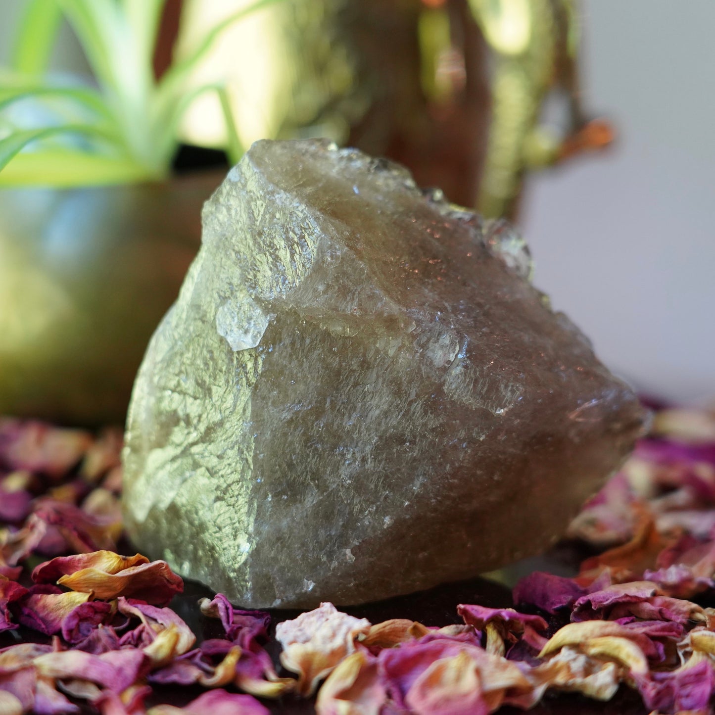 Smokey Elestial Quartz Cluster of Otherworldly Guidance