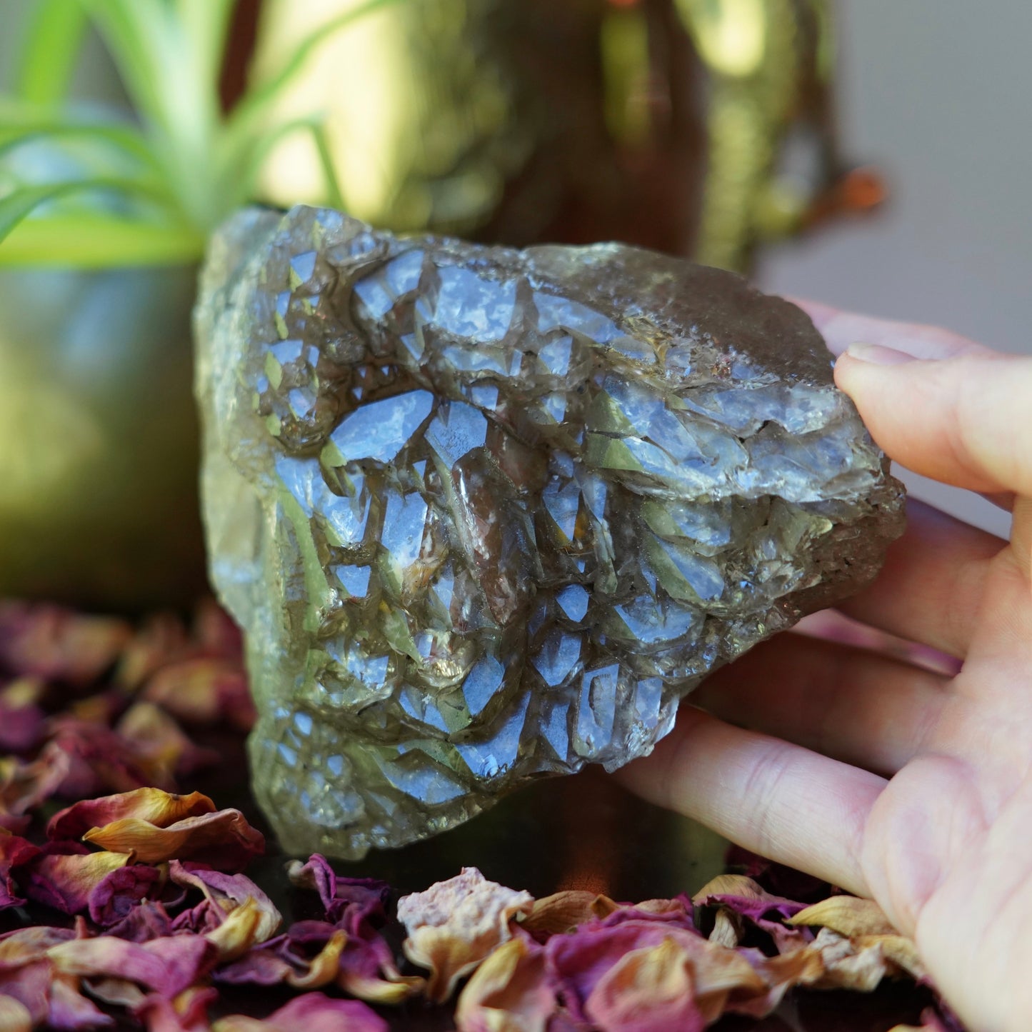 Smokey Elestial Quartz Cluster of Otherworldly Guidance