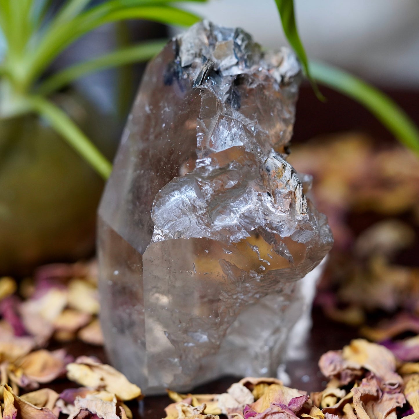 Biotite and Muscovite Mica on Quartz Tower of Intellectual Pursuits