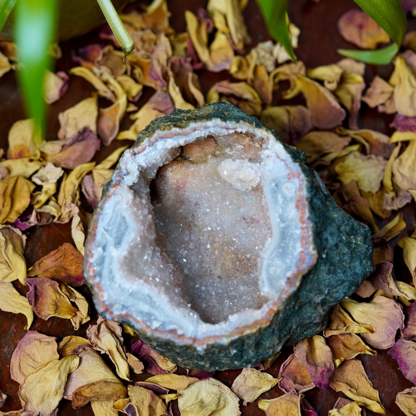 Load image into Gallery viewer, Druzy Moroccan Amethyst Geode of Mystical Quintessence
