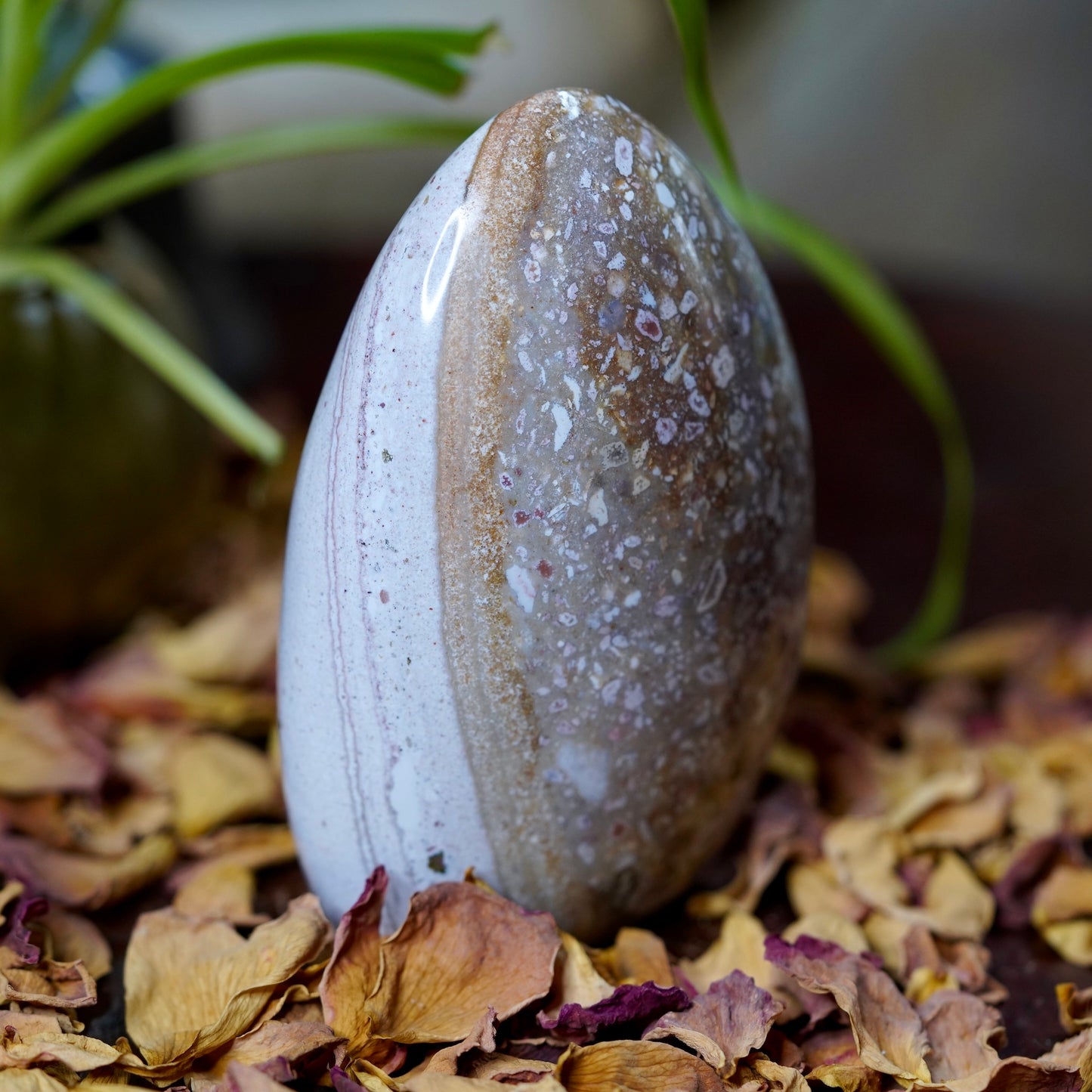 Pastel Purple Ocean Jasper Freeform of Uplifting Release