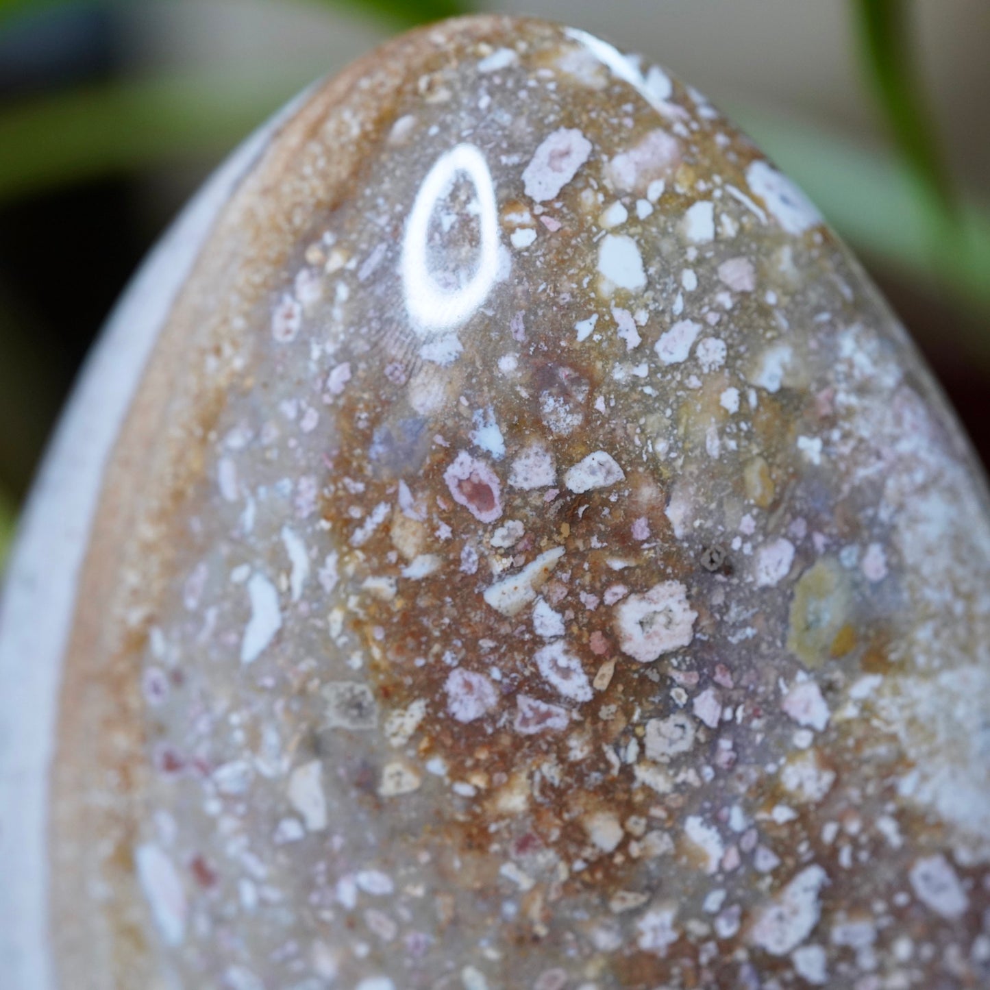 Pastel Purple Ocean Jasper Freeform of Uplifting Release